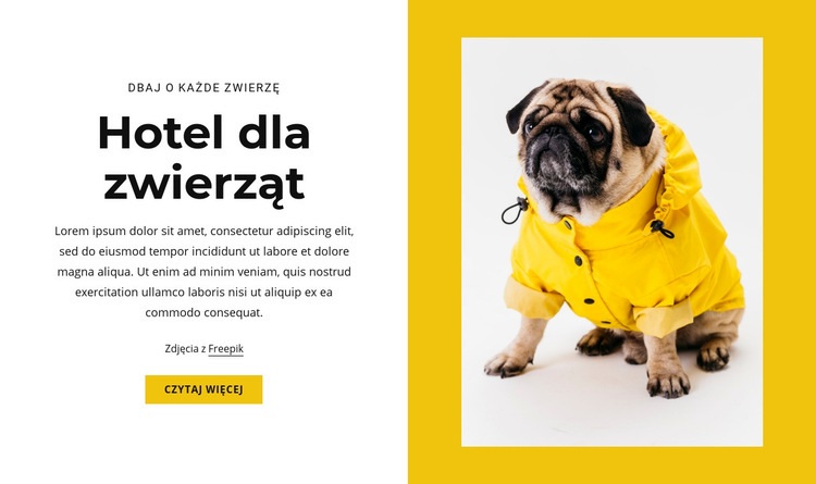Hotel dla zwierząt domowych Makieta strony internetowej