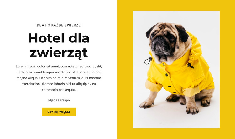 Hotel dla zwierząt domowych Szablon HTML