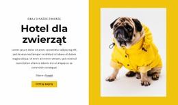 Hotel Dla Zwierząt Domowych - Responsywny Szablon HTML5