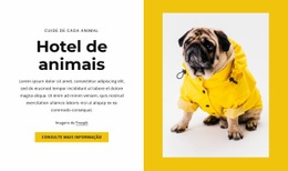 Hotel Para Animais De Estimação