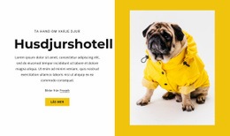 Djur- Och Djurhotell