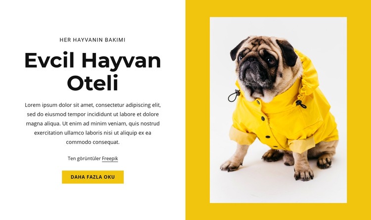 Evcil hayvan ve hayvan oteli Html Web Sitesi Oluşturucu