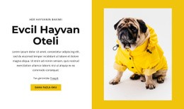 Evcil Hayvan Ve Hayvan Oteli - Duyarlı HTML5 Şablonu