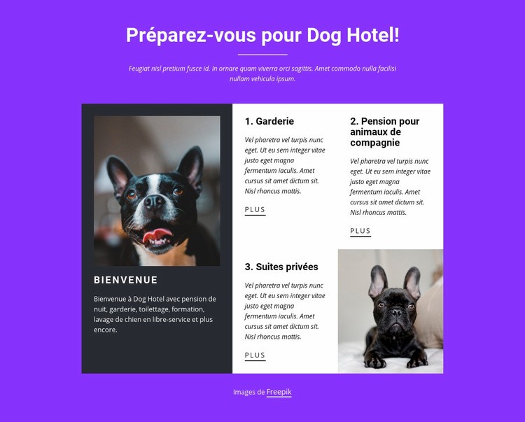 Services de pension pour chiens Modèles de constructeur de sites Web