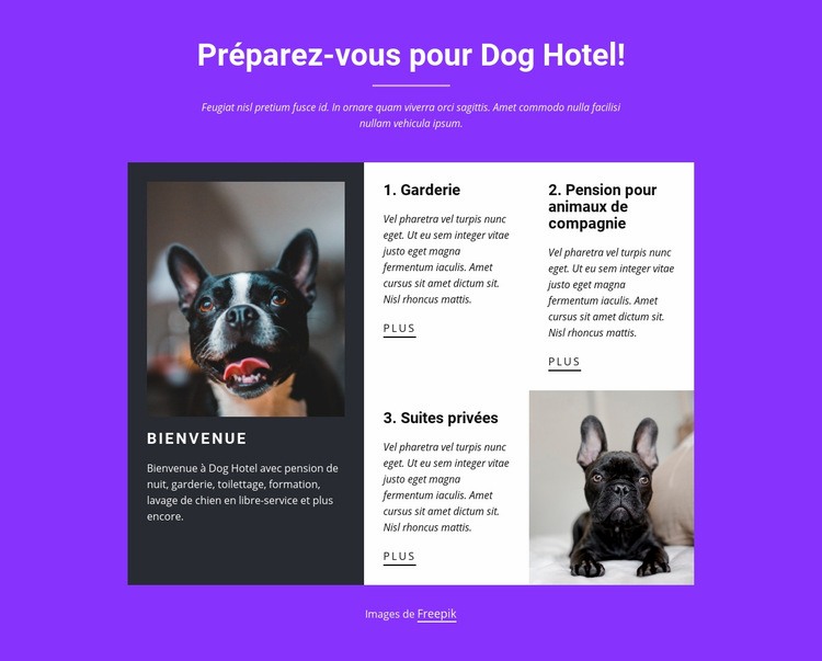 Services de pension pour chiens Maquette de site Web