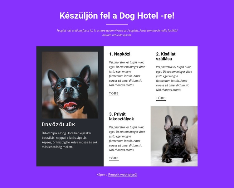 Kutyaszállás szolgáltatások Weboldal tervezés
