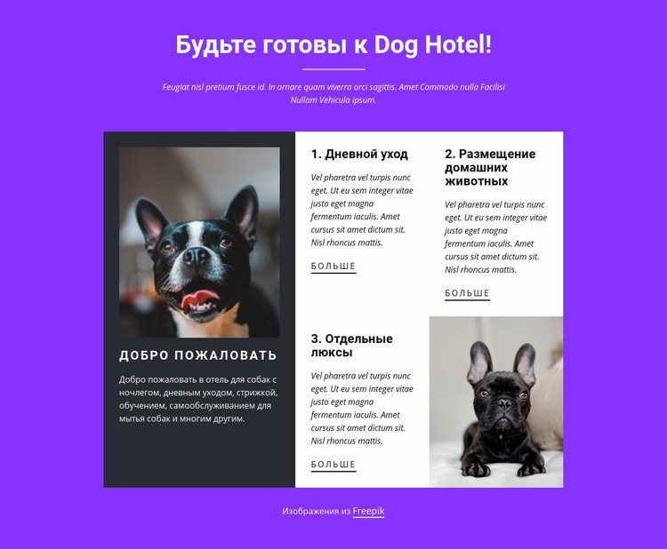 Услуги по интернату для собак CSS шаблон