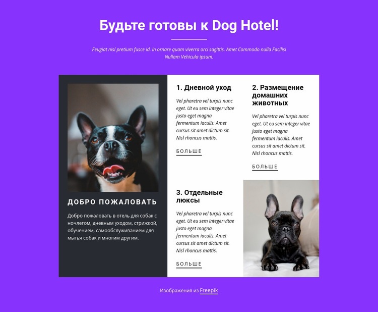 Услуги по интернату для собак HTML5 шаблон