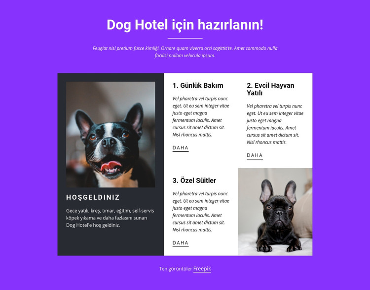 Köpek yatılı hizmetleri HTML Şablonu