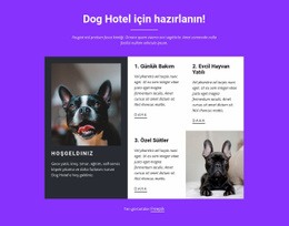 Köpek Yatılı Hizmetleri - Bir Sayfalık Şablon