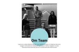 Unga Proffs - Webbplatsmall