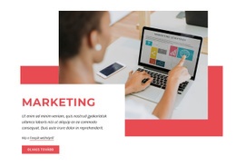 Digitális Üzleti Marketing – Webhelykészítő Sablon