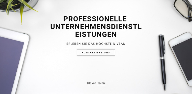 Pro Business Services Website-Vorlage