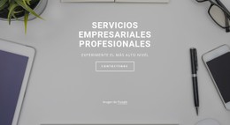 Servicios Profesionales Para Empresas Plantilla De Una Sola Página