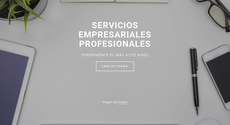 Servicios profesionales para empresas Plantilla HTML