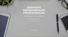 Variaciones Del Tema Bootstrap Para Servicios Profesionales Para Empresas