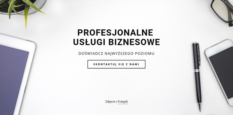 Profesjonalne usługi biznesowe Makieta strony internetowej