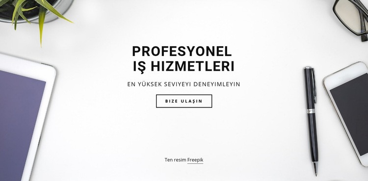 Profesyonel iş hizmetleri Şablon