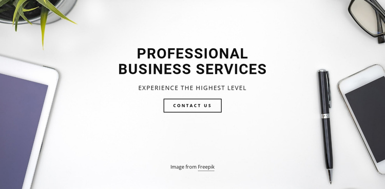 Pro  business services Landing Page