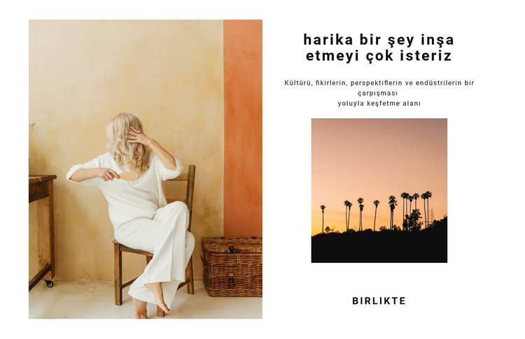 Harika bir şey inşa etmek WordPress Teması