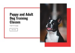 Poppy Training Classes HTML5 & CSS3 Template