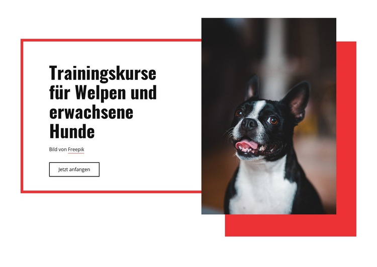 Mohn Trainingskurse HTML5-Vorlage