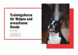 Mohn Trainingskurse - Kreative Mehrzweckvorlage