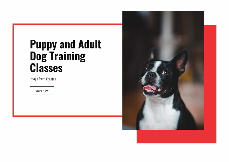 Poppy training classes Elementor Template Alternative