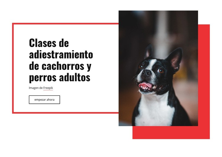 Clases de adiestramiento de amapolas Creador de sitios web HTML