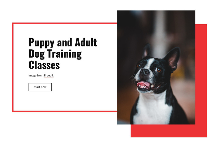 Poppy training classes Homepage Design