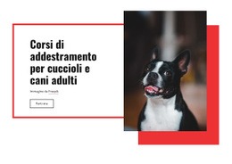 Progettazione Di Siti Web Corsi Di Formazione Di Papavero Per Qualsiasi Dispositivo