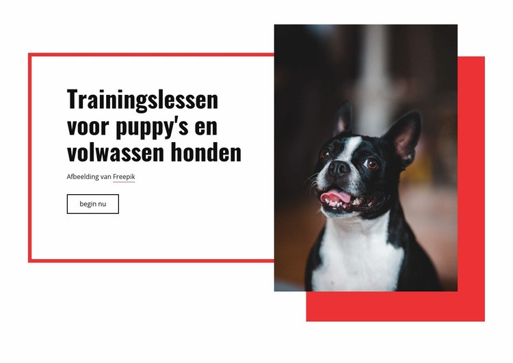 Poppy trainingslessen Website mockup