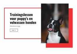 Poppy Trainingslessen - Creatieve Multifunctionele Sjabloon