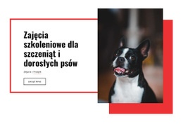 Zajęcia Szkoleniowe Poppy - Szablon HTML I CSS