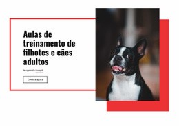 Design De Site Aulas De Treinamento De Papoula Para Qualquer Dispositivo