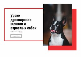 Дрессировка Мака – Шаблон HTML И CSS