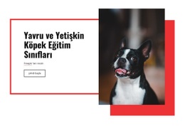 Haşhaş Eğitim Kursları - Özelleştirilebilir Profesyonel WordPress Teması