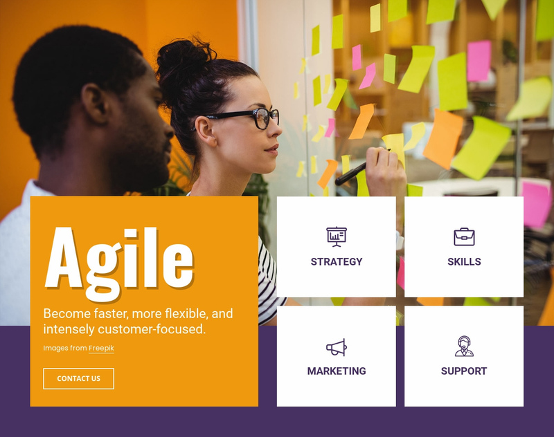 Agile consulting services Elementor Template Alternative