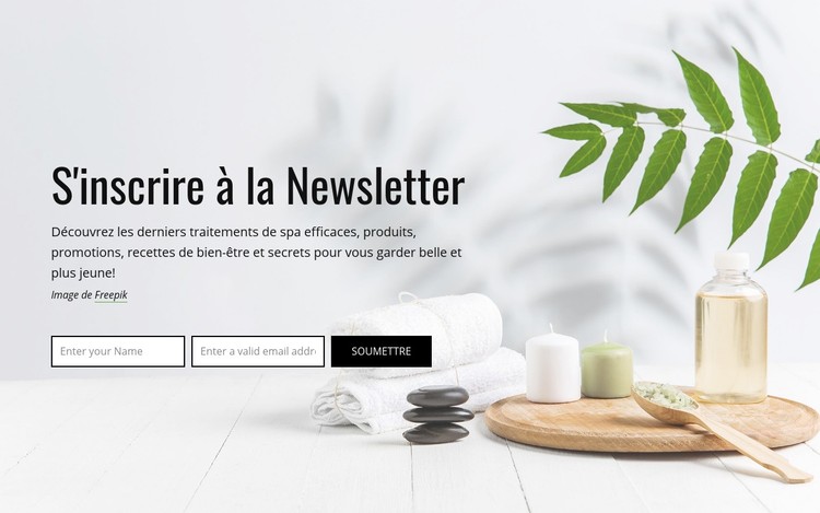 S'inscrire à la Newsletter Modèle CSS