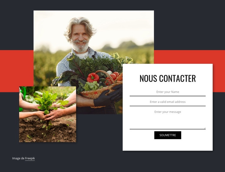 Contactez-nous pour les légumes Modèle HTML5
