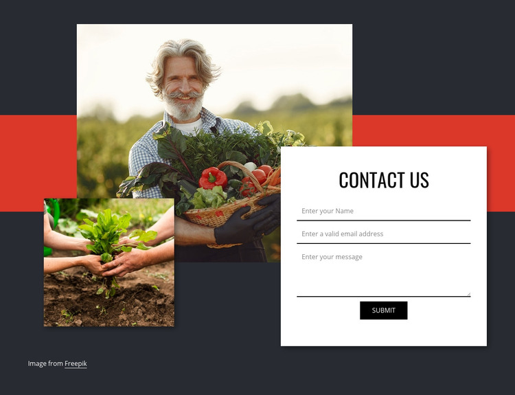 Contact us for vegetables Homepage Design