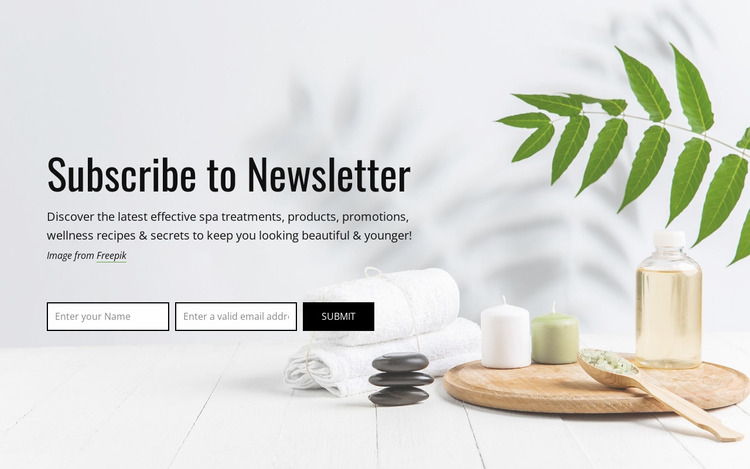 Subscribe to newsletter Html Website Builder