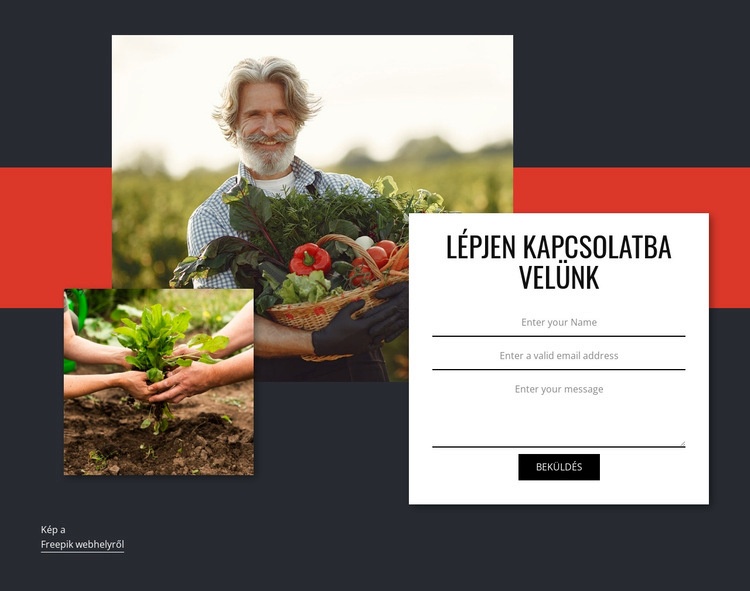 Vegye fel velünk a kapcsolatot a zöldségekért HTML Sablon
