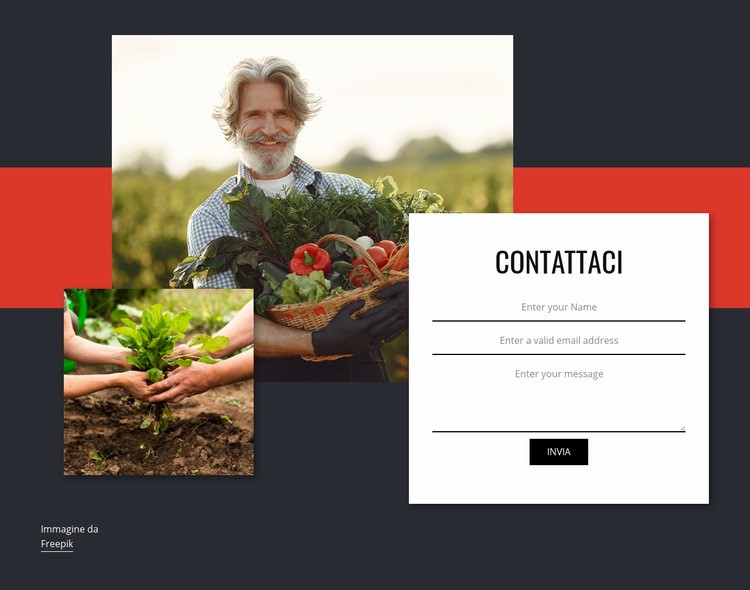 Contattaci per le verdure Modelli di Website Builder