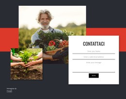 Sezioni Della Home Page Per Contattaci Per Le Verdure