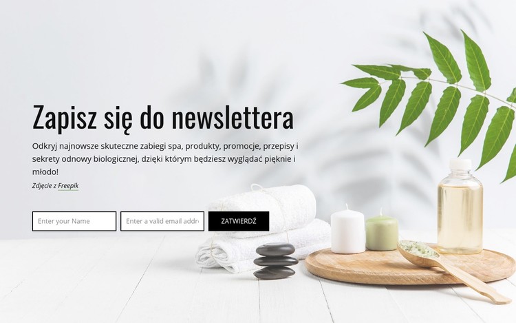 Zapisz się do newslettera Szablon CSS