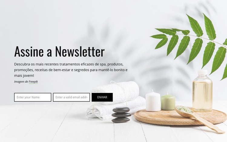 Assine a newsletter Modelos de construtor de sites