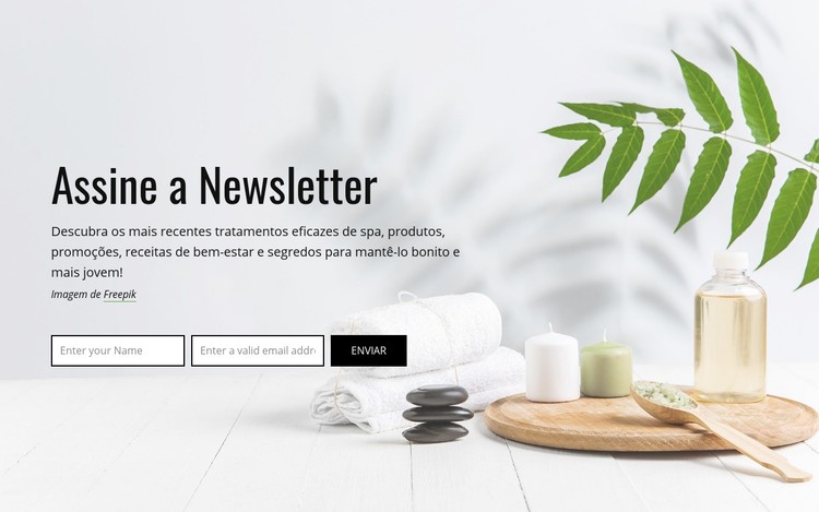 Assine a newsletter Template CSS