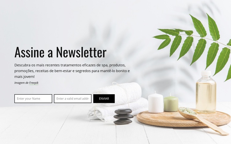 Assine a newsletter Modelo de uma página