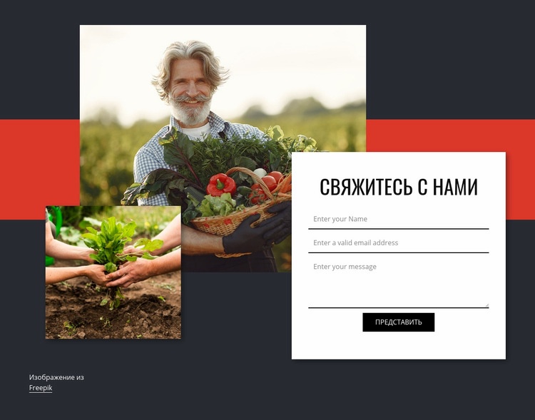 Свяжитесь с нами для овощей Конструктор сайтов HTML